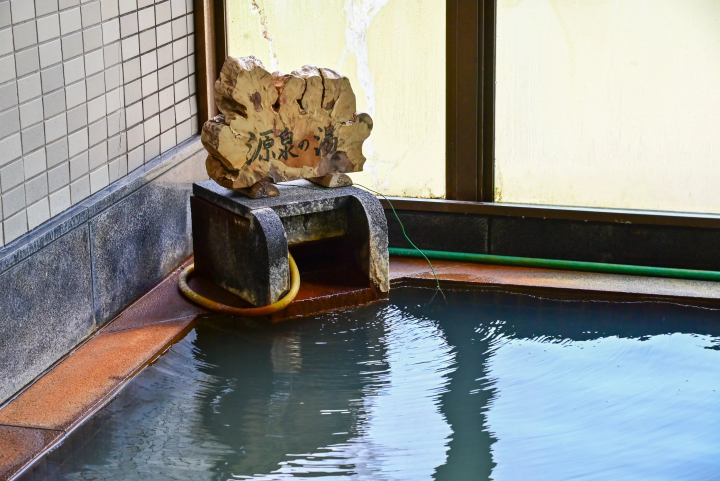 可以欣賞第二次櫻花？在魚沼市的「雪上櫻花」一次感受冬與春的魅力！