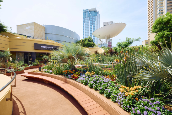 なんば⇔関西空港MICEガイド｜エンタメの街で叶う国際会議と企業研修