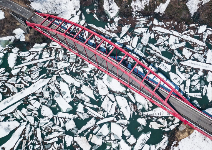 可以欣賞第二次櫻花？在魚沼市的「雪上櫻花」一次感受冬與春的魅力！