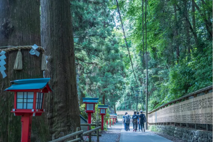 初めて高尾山へ訪れる人へ。登山を楽しむために事前に知っておきたい5つのこと