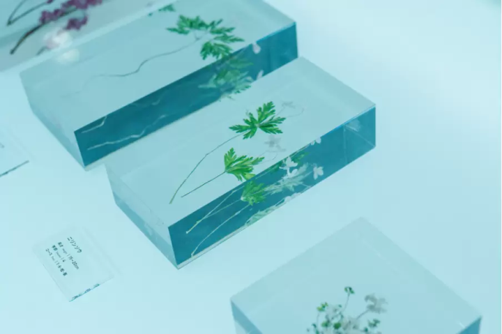 初めて高尾山へ訪れる人へ。登山を楽しむために事前に知っておきたい5つのこと