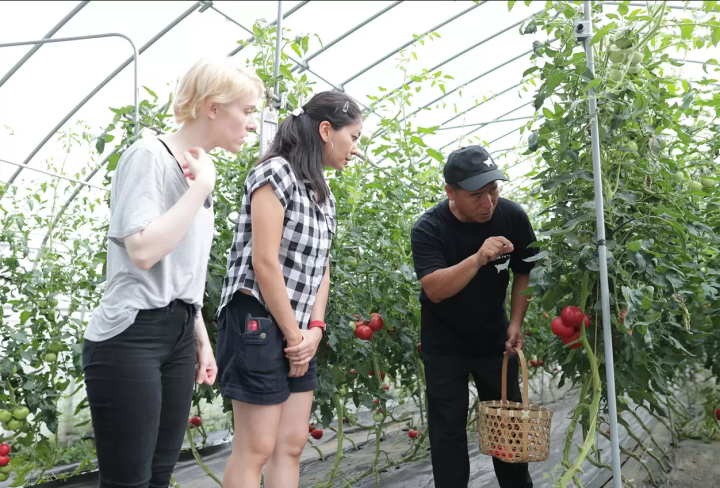 [นั่งรถไฟจาก เกียวโต 80 นาที] สัมผัสบรรยากาศชนบทใน เมืองฟุกุจิยามะ จังหวัดเกียวโต สถานที่พิเศษที่คนท้องถิ่นเท่านั้นที่รู้จัก