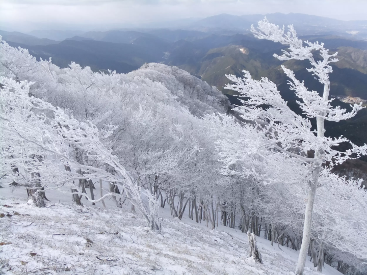 三重県松阪市　霧氷を楽しめるハイキング