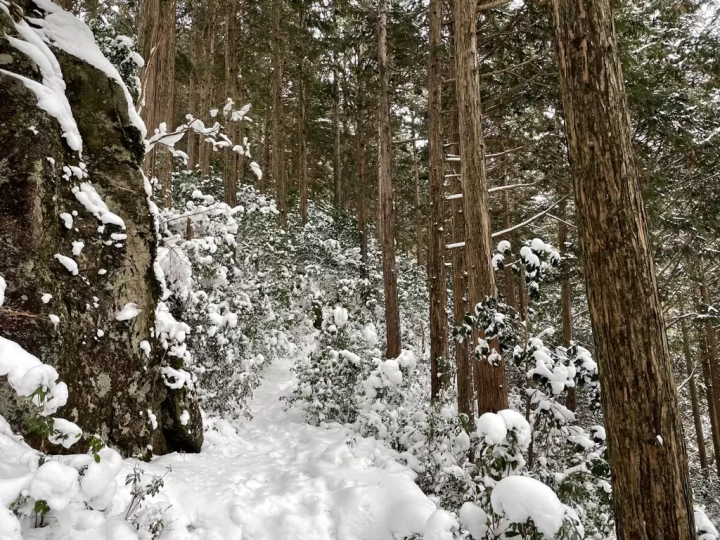 三重県松阪市　霧氷を楽しめるハイキング