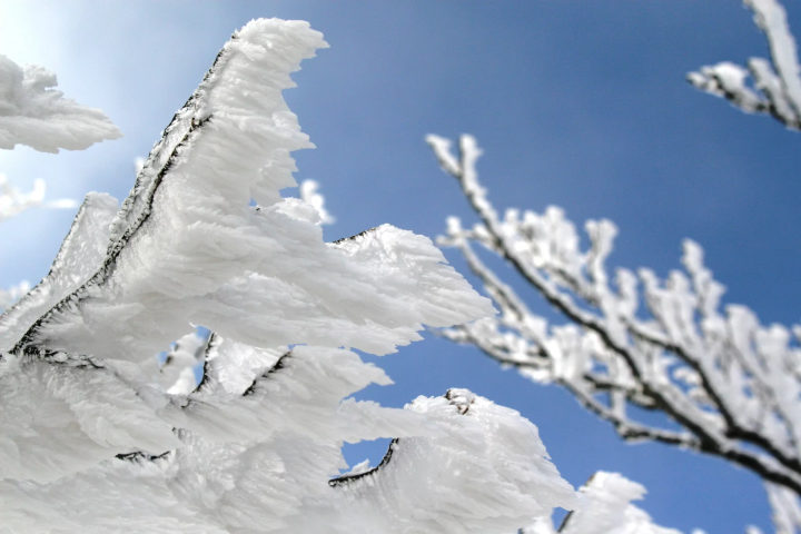 เส้นทางเดินป่าชมความหนาวเย็น เมืองมัตสึซากะ จังหวัดมิเอะ