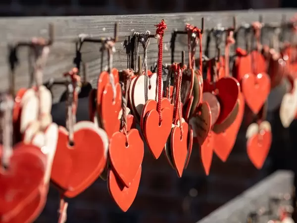 [นั่งรถไฟจากสถานี Meitetsu โทโคนาเมะ เพียง 30 นาที!] สถานที่ที่คู่รักต้องมาเยือน! สถานที่เดทแนะนำ จังหวัดไอจิ