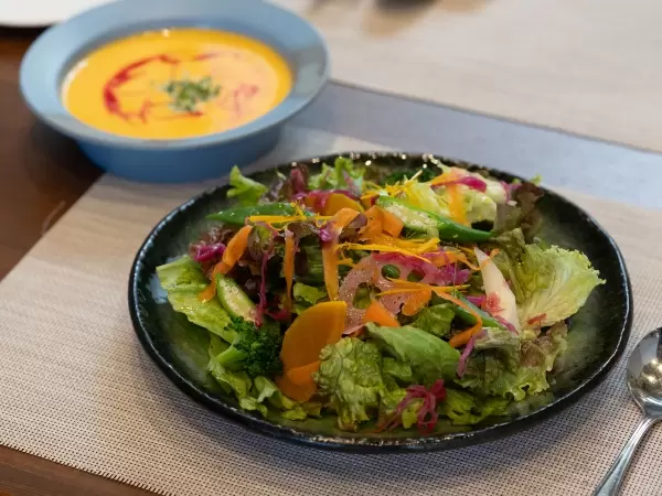 [นั่งรถไฟจากสถานี Meitetsu โทโคนาเมะ เพียง 30 นาที!] สถานที่ที่คู่รักต้องมาเยือน! สถานที่เดทแนะนำ จังหวัดไอจิ