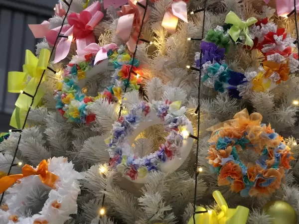 [นั่งรถไฟจากสถานี Meitetsu โทโคนาเมะ เพียง 30 นาที!] สถานที่ที่คู่รักต้องมาเยือน! สถานที่เดทแนะนำ จังหวัดไอจิ