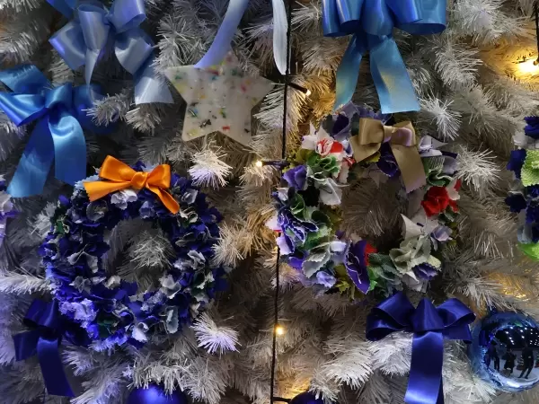 [นั่งรถไฟจากสถานี Meitetsu โทโคนาเมะ เพียง 30 นาที!] สถานที่ที่คู่รักต้องมาเยือน! สถานที่เดทแนะนำ จังหวัดไอจิ