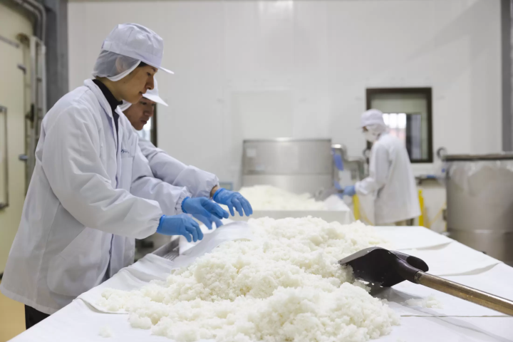 颠覆想象的丰田：不只有汽车，还有发酵饮食、自然、生活文化