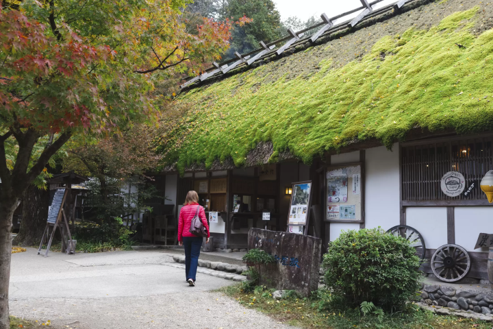 颠覆想象的丰田：不只有汽车，还有发酵饮食、自然、生活文化