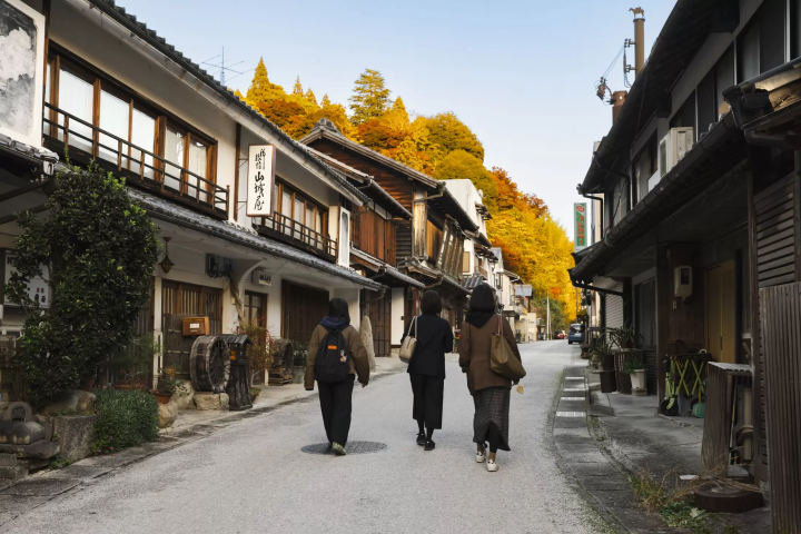 颠覆想象的丰田：不只有汽车，还有发酵饮食、自然、生活文化