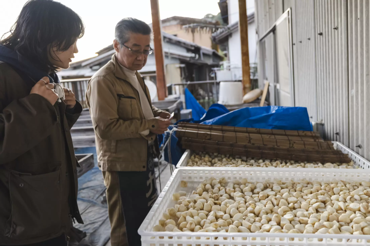 颠覆想象的丰田：不只有汽车，还有发酵饮食、自然、生活文化