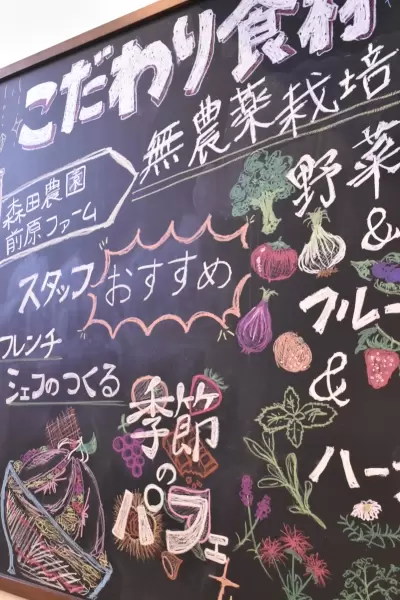 [메이테쓰 나고야 역에서 전철로 30분] 아이치 1위 미식 작가와 함께 도코 도코나메 의 미식 문화를 탐험해 보세요