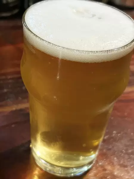 [메이테쓰 나고야 역에서 전철로 30분] 아이치 1위 미식 작가와 함께 도코 도코나메 의 미식 문화를 탐험해 보세요