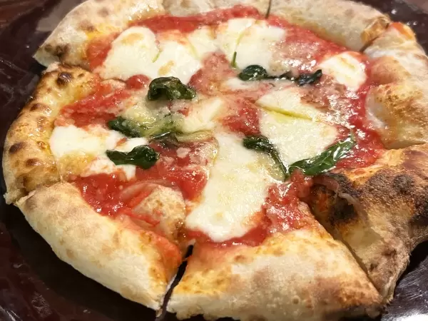 [메이테쓰 나고야 역에서 전철로 30분] 아이치 1위 미식 작가와 함께 도코 도코나메 의 미식 문화를 탐험해 보세요