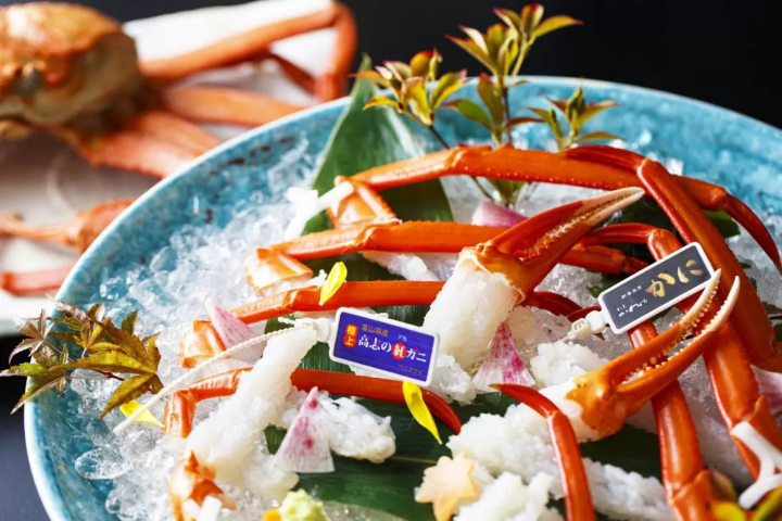 A Journey to Taste Toyama’s Seafood Bounty: Crab, Oysters, Cod, and Firefly Squid