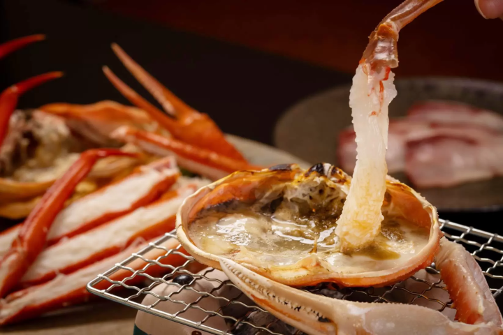 A Journey to Taste Toyama’s Seafood Bounty: Crab, Oysters, Cod, and Firefly Squid