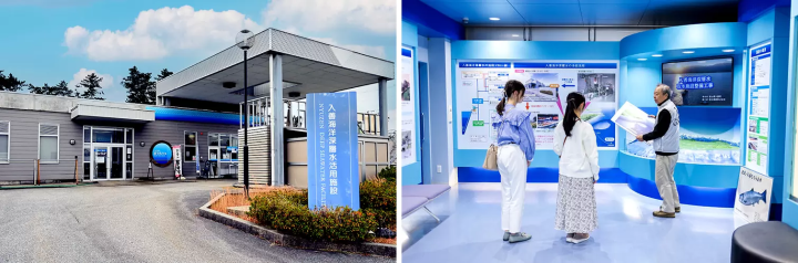 A Journey to Taste Toyama’s Seafood Bounty: Crab, Oysters, Cod, and Firefly Squid