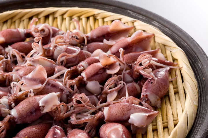 A Journey to Taste Toyama’s Seafood Bounty: Crab, Oysters, Cod, and Firefly Squid