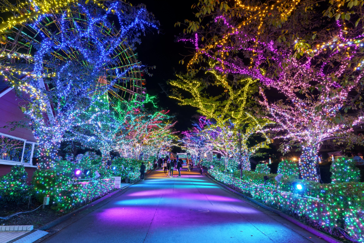 よみうりランドは、2026年4月5日までジュエルミネーション開催中！