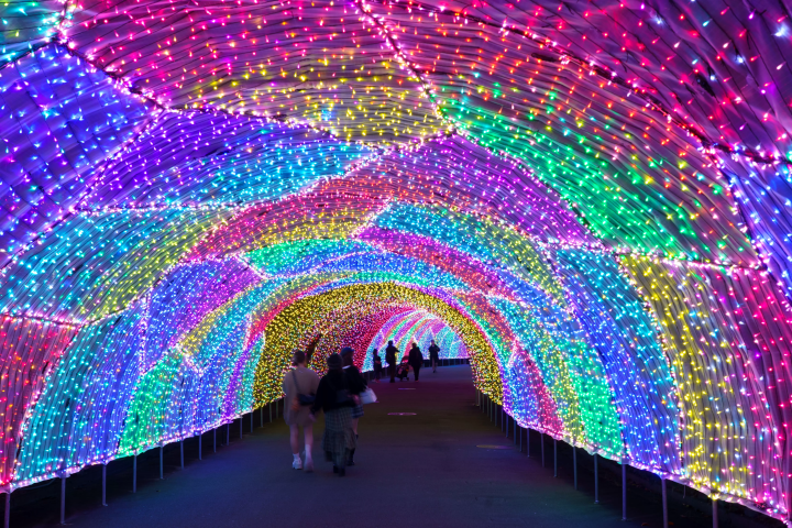 よみうりランドは、2026年4月5日までジュエルミネーション開催中！