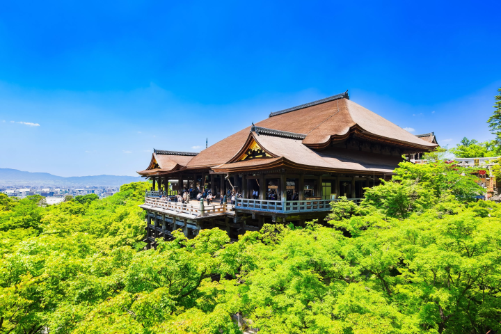 For beginners! 5 things you should know when traveling to Kyoto