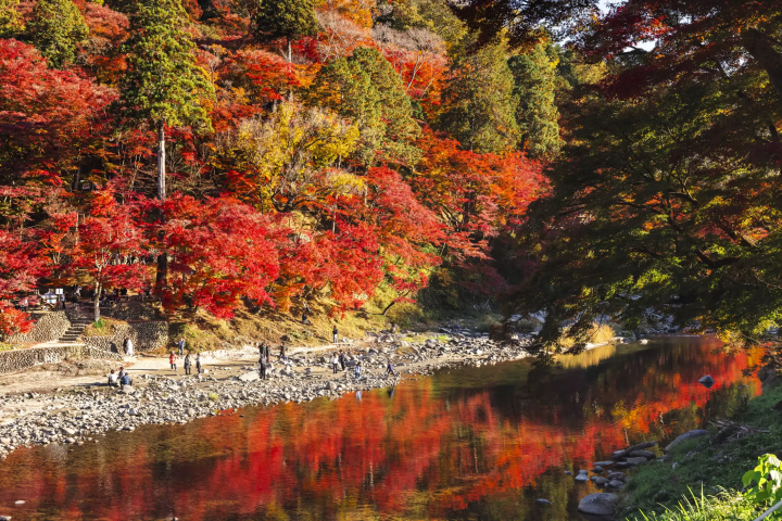 颠覆想象的丰田：不只有汽车，还有发酵饮食、自然、生活文化