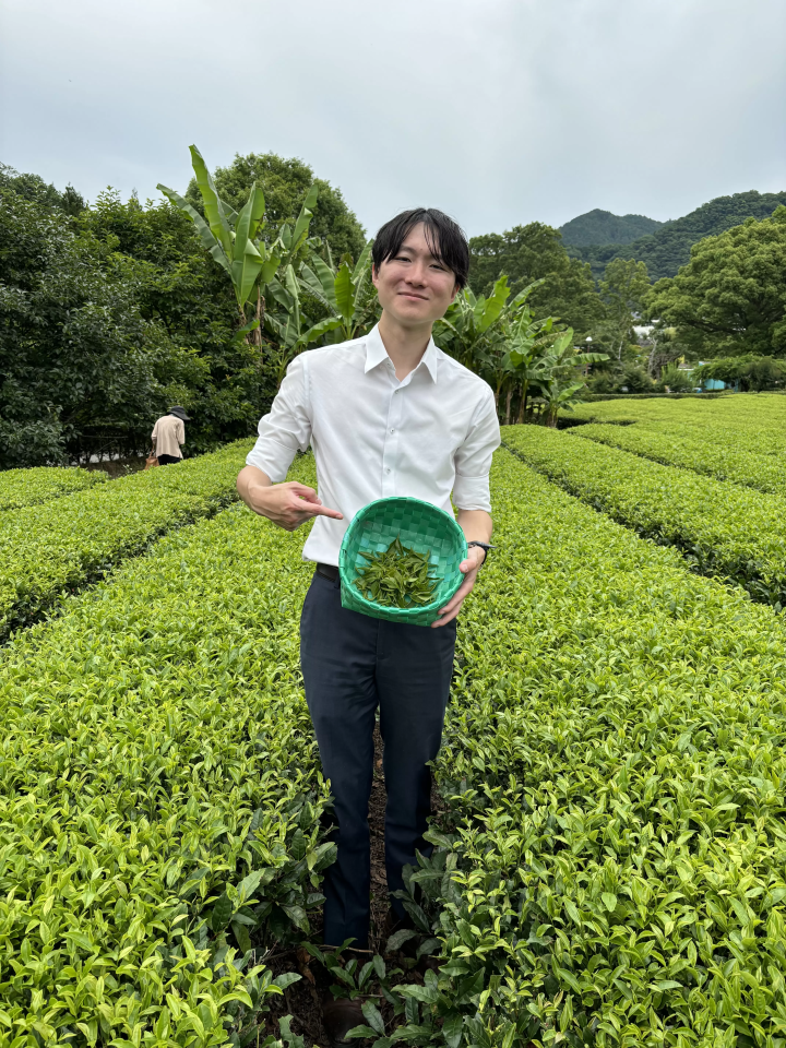 Experience Premium Matsusaka Tea in a Unique Day Trip through Stunning Nature