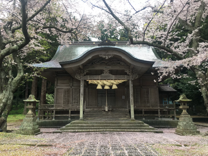 【2026】Reasons to Visit Nishinoshima Town, Shimane——Meet the Leisurely Grazing Horses in the Year of the Horse