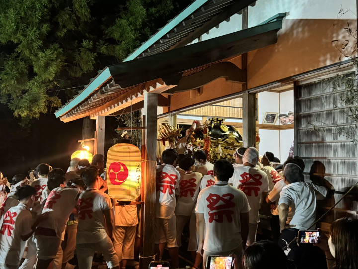 【2026】Reasons to Visit Nishinoshima Town, Shimane——Meet the Leisurely Grazing Horses in the Year of the Horse