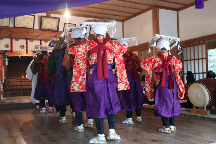 【2026】Reasons to Visit Nishinoshima Town, Shimane——Meet the Leisurely Grazing Horses in the Year of the Horse