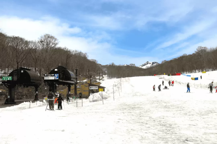 [Save this] 10 Recommended Ski Tour Companies! Choosing a Tour That Won't Disappoint