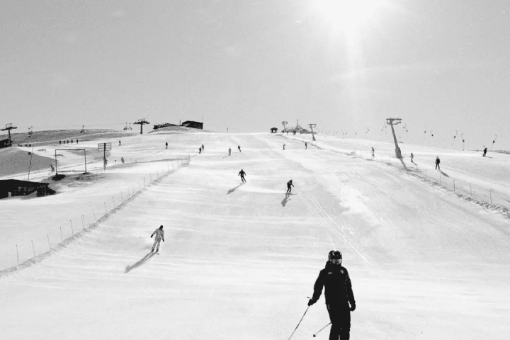 【初學者和滑雪新手】特別推薦滑雪度假村和滑雪路線！