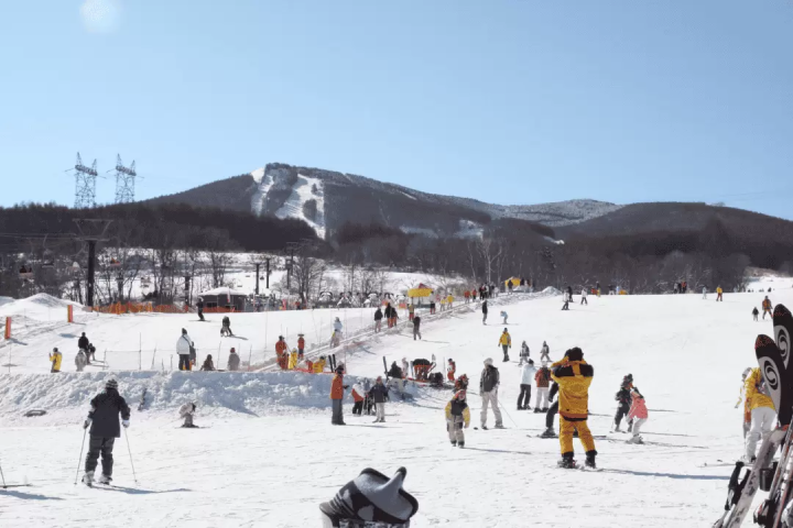 滑雪之旅根据早晨出发时间和一日游行程而定！如何选择以及推荐的巴士旅行团