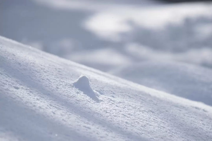 Introducing the reasons why Japanese ski resorts are chosen by foreigners and the most popular slopes!