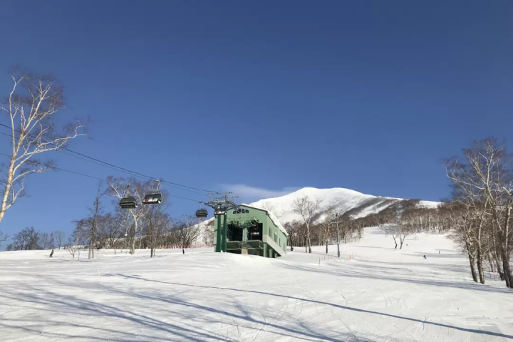 Introducing the reasons why Japanese ski resorts are chosen by foreigners and the most popular slopes!