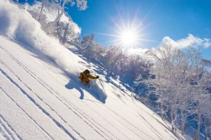 Introducing the reasons why Japanese ski resorts are chosen by foreigners and the most popular slopes!