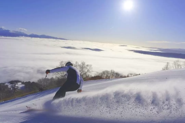 Introducing the reasons why Japanese ski resorts are chosen by foreigners and the most popular slopes!