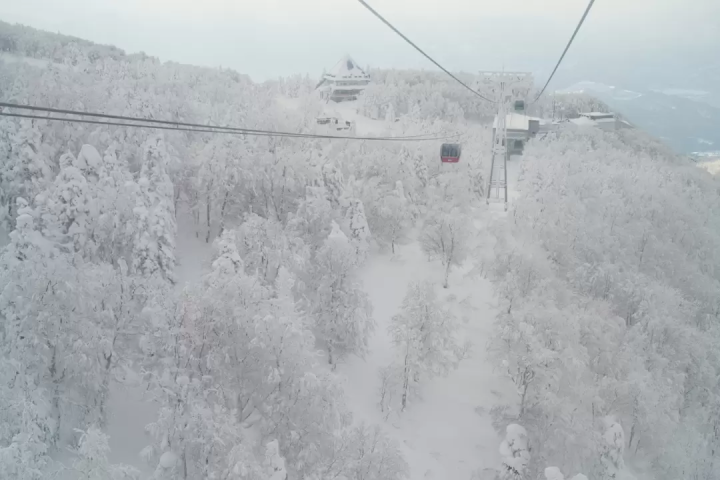 Introducing the reasons why Japanese ski resorts are chosen by foreigners and the most popular slopes!