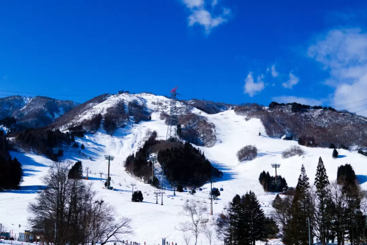 Introducing the reasons why Japanese ski resorts are chosen by foreigners and the most popular slopes!