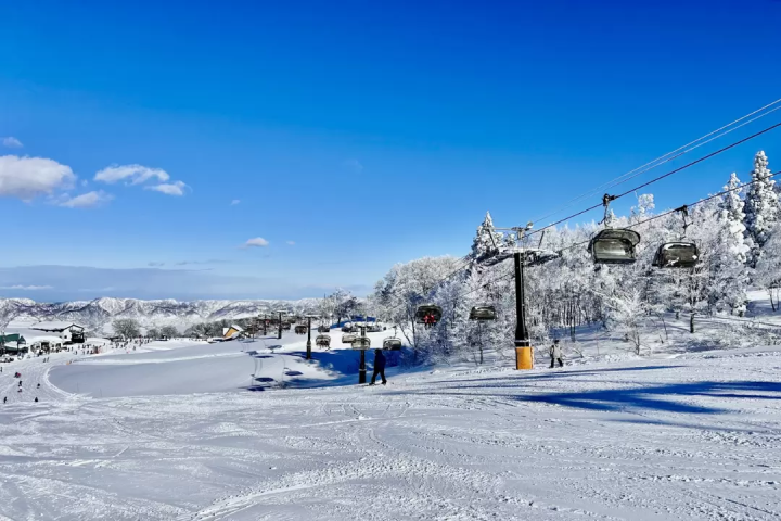 Introducing the reasons why Japanese ski resorts are chosen by foreigners and the most popular slopes!