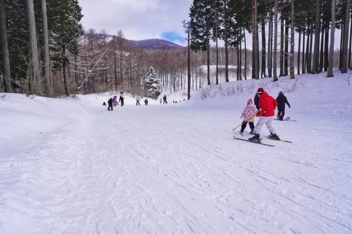 [จากโตเกียว] 10 รีสอร์ทสกีแนะนำที่คุณสามารถไปเที่ยวแบบไปเช้าเย็นกลับหรือโดยไม่ต้องใช้รถยนต์ได้