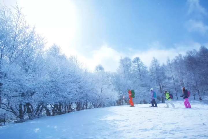 【关东地区】舒适旅行!推荐10家与滑雪场直接相连或毗邻滑雪场的酒店