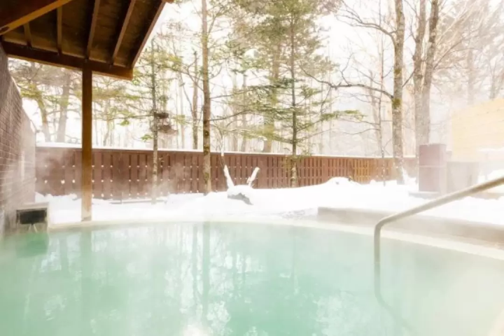 【关东地区】舒适旅行!推荐10家与滑雪场直接相连或毗邻滑雪场的酒店