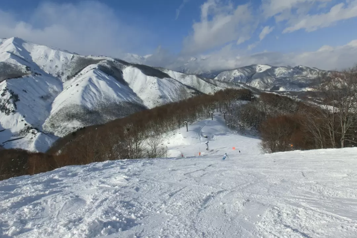 Ski Trips for Beginners from Tokyo | 3 Safe Bus Tours