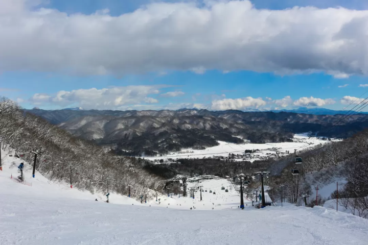 Ski Trips for Beginners from Tokyo | 3 Safe Bus Tours