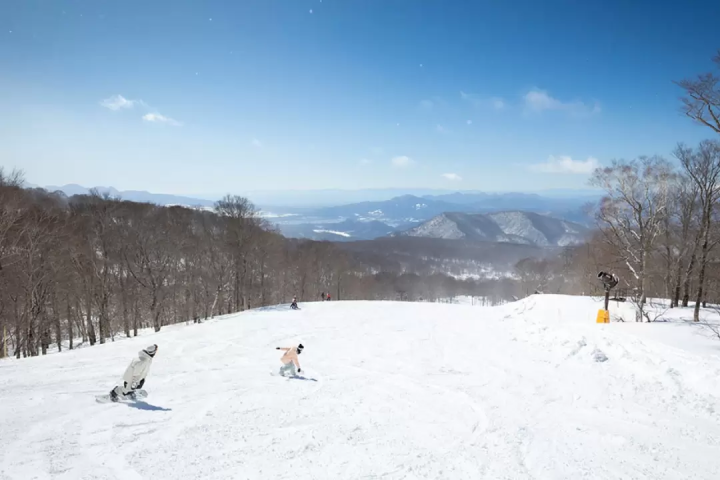 Ski Trips for Beginners from Tokyo | 3 Safe Bus Tours