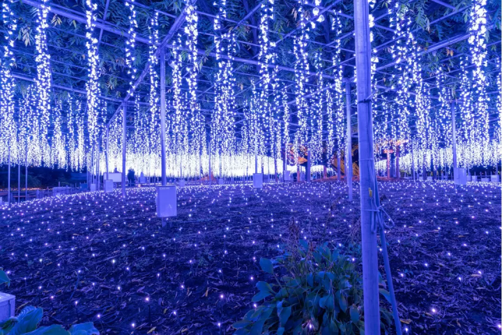 東京出發，10天滑雪之旅！包含行程！