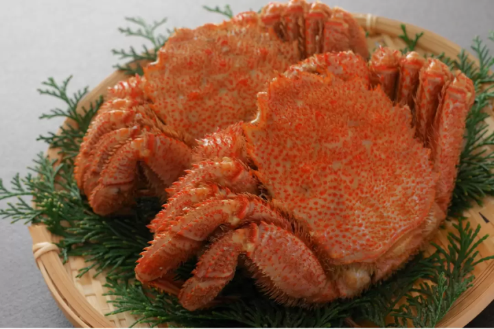 東京出發，10天滑雪之旅！包含行程！